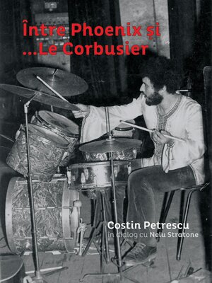 cover image of Costin Petrescu in dialog cu Nelu Stratone
